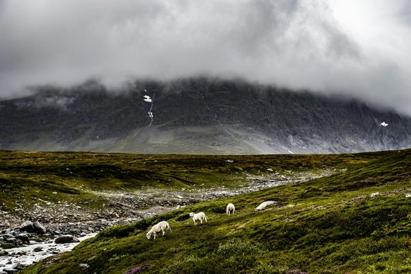 Discover york's premier historical walks: step into a captivating adventure through time